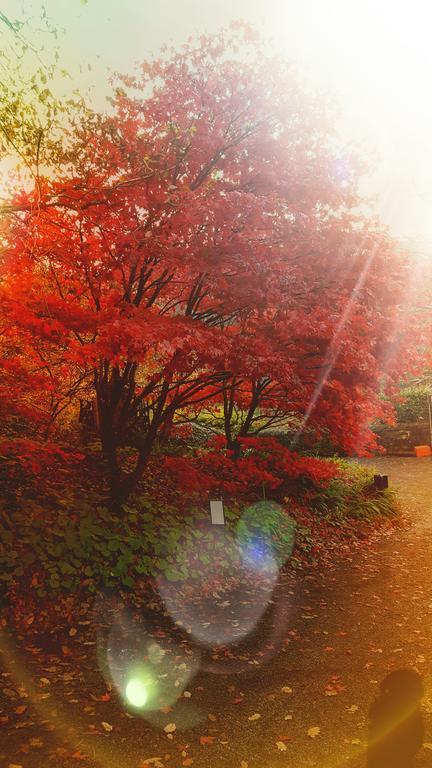 Dursley House Hotel Whitland Luaran gambar